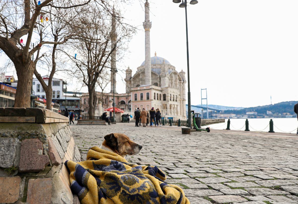 Was kann ich am Neujahrstag in Istanbul machen?