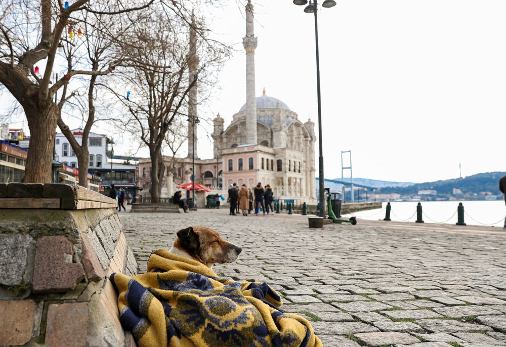 Was kann ich am Neujahrstag in Istanbul machen?